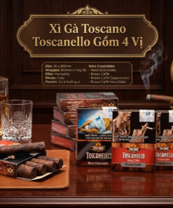 Xì Gà Toscanello 2 Xi Ga Toscanello 2 1