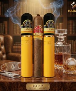 Xì Gà Hanos 52 1 Xi Ga Hanos 52 1 1