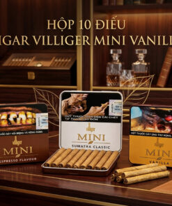 Xì Gà Villiger Mini 1 Xi Ga Villiger Mini 1 1