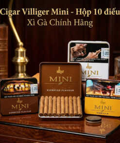 Xì Gà Villiger Mini 2 Xi Ga Villiger Mini 2 1